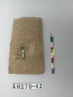 打製石斧藏品圖，第1張